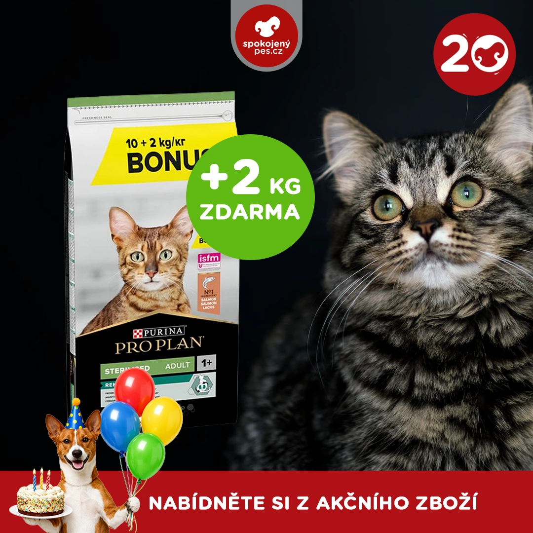 akční březen_19_CZ.webp